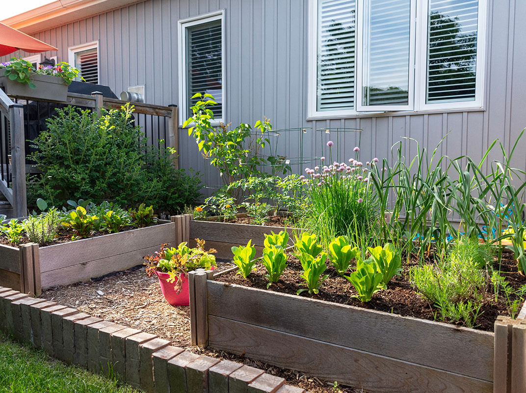 DIY Garden Boxes: 3 Steps to Simplify the Process